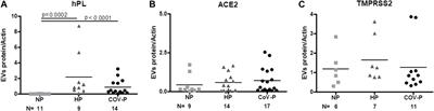 Characterization of extracellular vesicles in COVID-19 infection during pregnancy